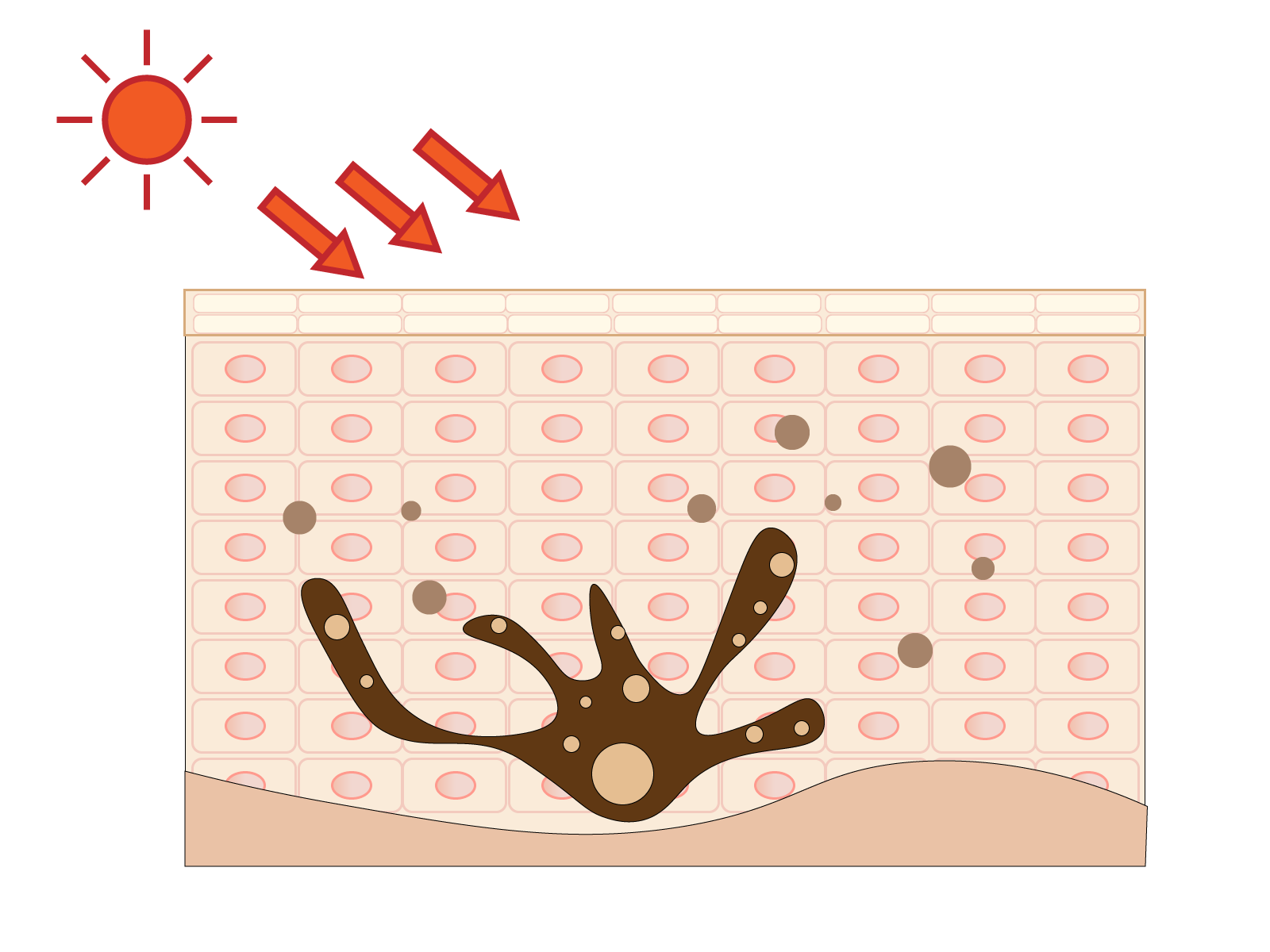 毛穴の黒いポツポツは何？毛穴の黒ずみの原因とは